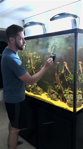 Cleaning Aquarium Glass 🧽