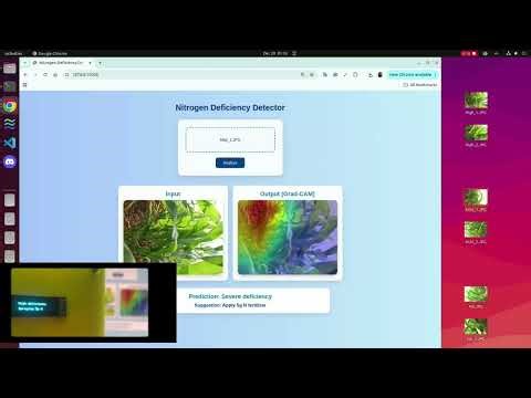 ResNet18 & GradCAM