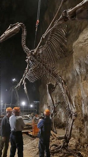 Gigantic Bird Skeleton Found Preserved in New Zealand Cave