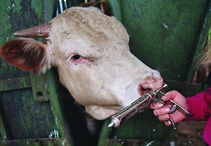 Experiential and Critical