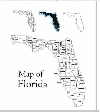 Florida svg map with counties