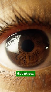 9.3K views · 168 reactions | Don’t get left in the dark—learn these car lights safety tips! #Driver #Driving #Cars #Auto #Automotive #DrivingTips #CarTips #CarSafety #CarSafetyTips #DriveSafely | GoodCar | Facebook