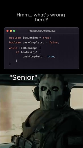 Noob vs Pro - Developer 💀