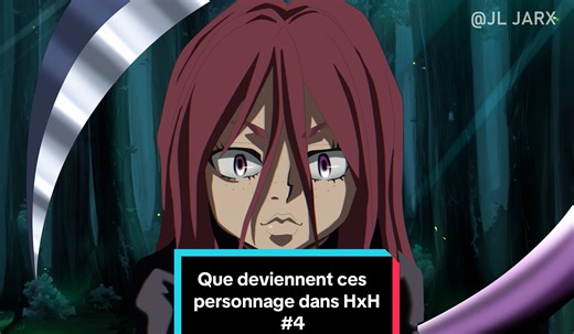 Que deviennent les personnages Hunter X Hunter partie 4