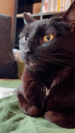 lucky1seven (@lucky1seven)’s videos with original sound - lucky1seven