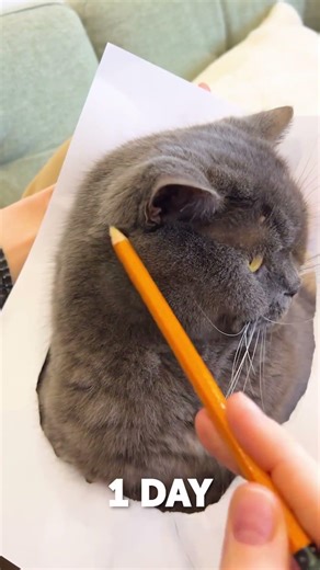 POV: Anyone Can Draw This Cute Cat 😳🐱 #drawing