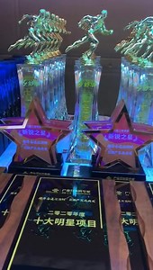 #trophy #ChinaTrophy #TrophyWholesale #GlassTrophy #SportsTrophy #TrophyCustom #trophies #TrophyAwards #Awards #TrophyFactory | Glory Award & Trophy