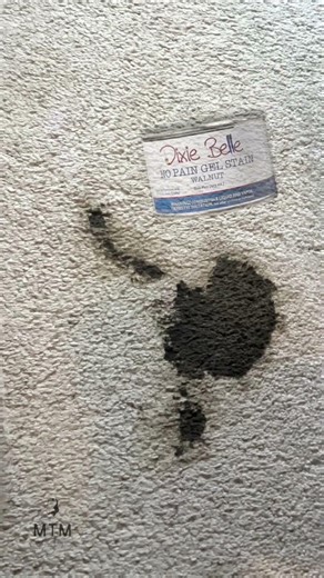 The Carpet Cleaning Hack Everyone Should Know #diy #furnituremakeover