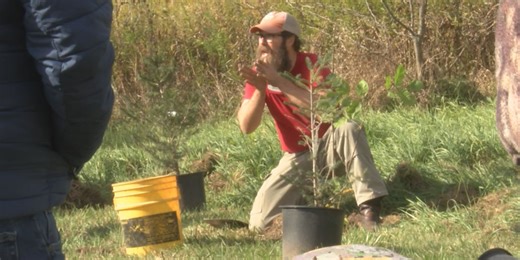 46th Fall Forestry Field Day addresses storm damage and planting new life