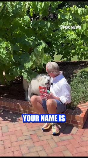 Trey Gowdy's new book "The Color of Death" is all about justice and his dog Justice is ready Gowdy's fiction debut. | Fox News