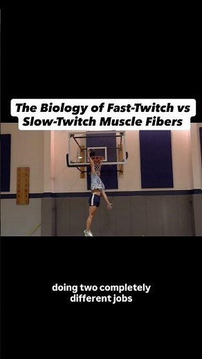 Fast-twitch vs slow-twitch muscle fibers