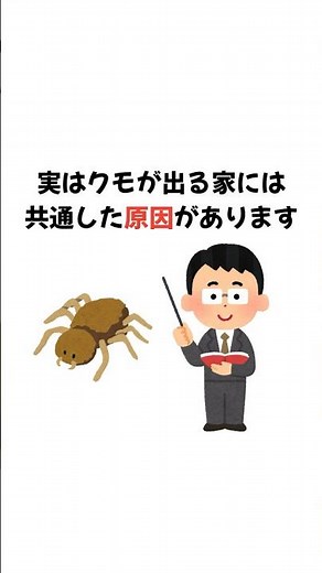 【害虫対策】クモは益虫だから放置していい？その常識が家をさらに危険にしている。