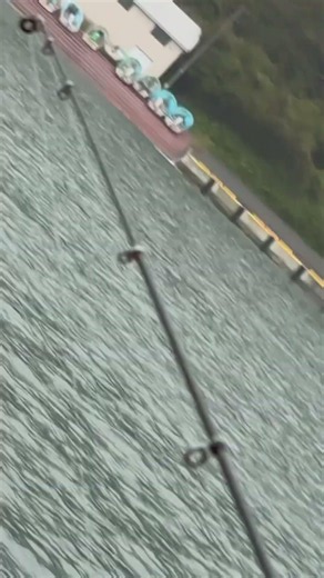 釣り開始！ #アイナメ #fishing