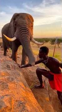 Jabali the Spear Runner vs a pack of hyenas cackling on the African Savanna