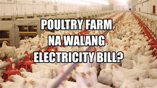 86 reactions · 17 shares | We recently had the chance to talk with Mr...