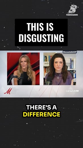 455K views · 1.5K reactions | Megyn Kelly: "I know somebody very close to this case…Jeffrey Epstein, in this person's view, was not a pedophile…He was into the barely legal type, like he liked 15 year old girls…He wasn't into like 8 year olds…There's a difference between a 15 year old and a 5 year old." | The Bulwark | Facebook