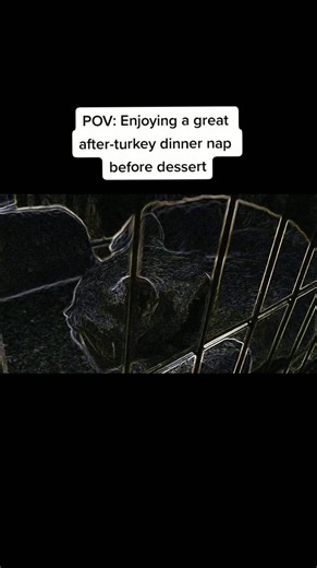 Turkey was hitting tonight😎 #fyp #cartoon #happythanksgiving #turkey #turkeydinner #thanksgivingdinner #imperfectlyperfectanimations