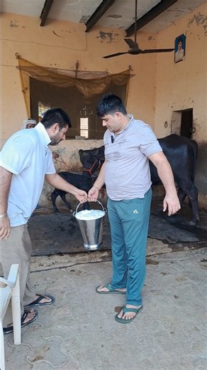 Deepak Dairy Farm Jeed