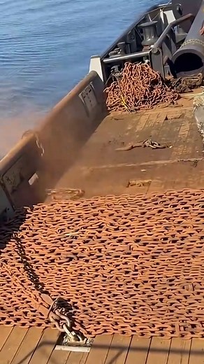 Exploring the Thrilling Life at Sea