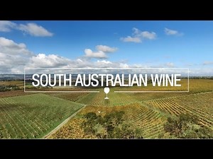 South Australian wine (2025)