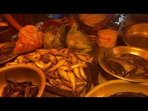 Dhaka Fish Market | Fresh Fish Wholesale Market in Dhaka | Daily Fish Price & Local Life