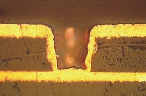 Microvia - Alchetron, The Free Social Encyclopedia