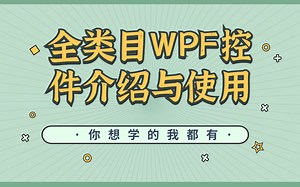 【精选】从入门到精通，WPF控件介绍与使用，快速入手，高效学习！