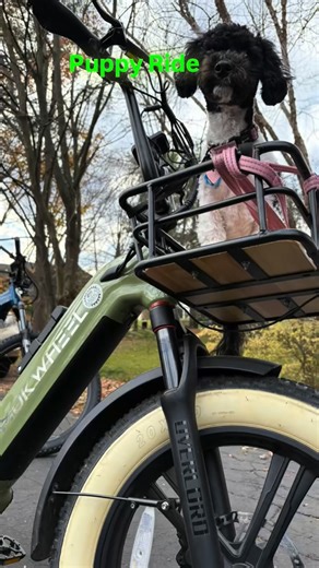 Ride with your Bestie! Front and rear baskets available at Max’s Electric Bikes. | Max’s Electric Bikes