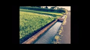 夏色のメモリイ【AO×shirothebeats】