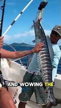 WORLD RECORD WAHOO Fishing! 184-Pound MONSTER Strikes (Cabo San Lucas Big Game #fishing ) #fish