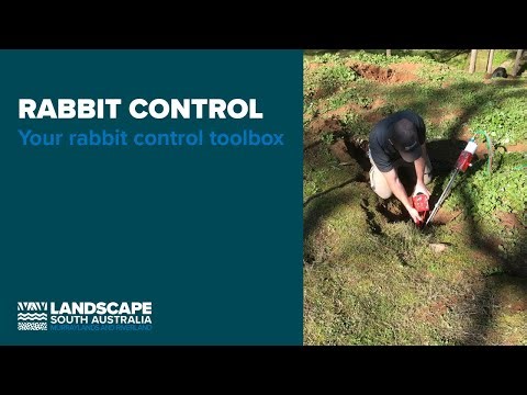 Rabbit control: your rabbit control toolbox