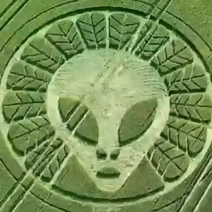 Alienígenas reales. | Llegaron del espacio