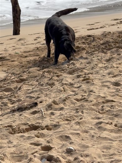 SEVENTEEN The8 on Instagram