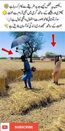 Smart Farming with Solar Power 🌾☀️#Farming#SmartFarming#SolarEnergy#Innovation#Agriculture#Farm