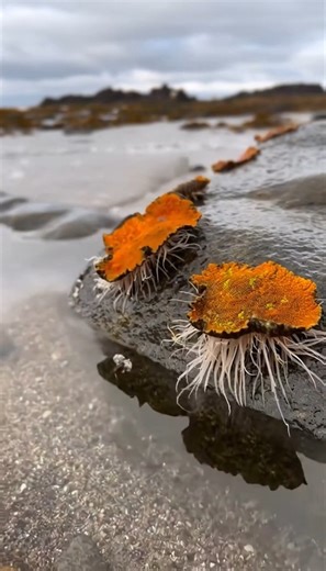 6.4M views · 48K reactions | Field Notes: November 5, 2025 Location:...