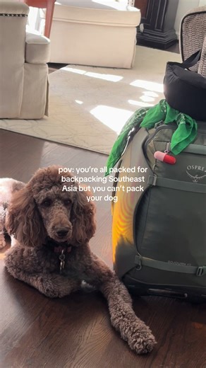 Backpacking with Your Dog: A Dream or Reality?