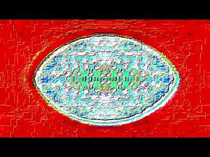 [YTP Tennis Round 1 vs. Wagner Ramos] Walt Disney Home Video has a mental breakdown and dies