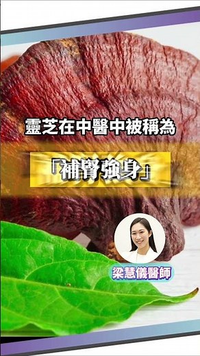 靈芝的五大功效 |「補腎強身」的藥物 滋潤保肺 延緩衰老| #中藥 #靈芝 #lingzhi #補腎 #kidney #shorts | 藥材1分鐘