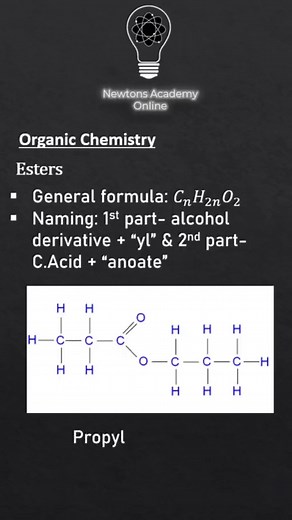 Newtons Academy on TikTok