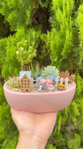 How to make a succulent mini garden 🪴#succulents #suculentas #fblifestyle | Succulents