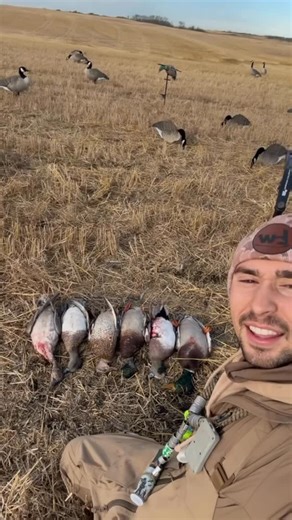 BW Films on Instagram: "Epic morning with the bow! FREE SHIPPING on orders over $50 at BWFILMS.SHOP • • • #bwfilms #bw #duckhunting #goosehunting #bowhunting #hunting #archery #bowandarrow #mallard #pintail #wigeon #waterfowl #hunt #archer"