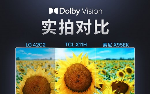 杜比视界 | 万级分区 MiniLED 和 OLED 还有多少差别？能否做到完美平替，画质实拍给你看