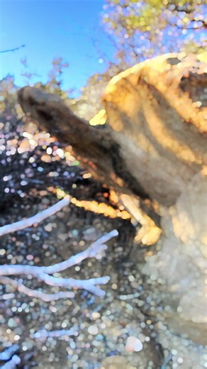 Check out this cool Little Rock formation. I caught a cool angle and from here it looks like a turtle. What do you think it looks like. #turtles #rockart