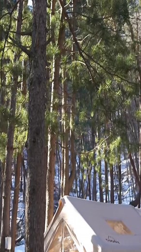 Pretty girl Cold Weather Camping with the Dog. | A.B. Views