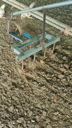 turn litre poultry best tips and trick homemade machine