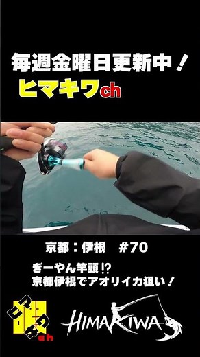 【京都伊根TR】ティップランナーで竿頭！ティップランエギング！後編 71 6