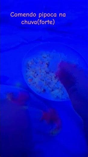 27 de janeiro de 2026