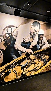 24K reactions · 4.9K shares |  Did you know? King Tutankhamun was...