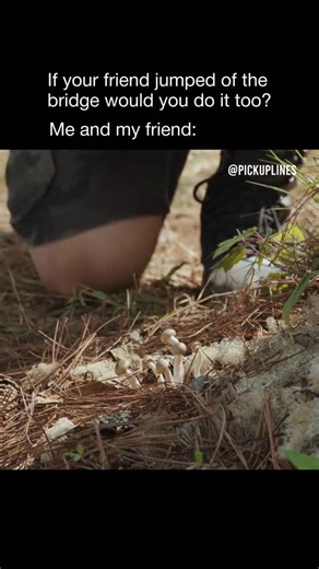 😂 Interesting fact: Vacation Friends (2021) flips the usual friendship formula by pairing a cautious, structured couple with two wildly unpredictable strangers they meet on vacation. What starts as a temporary getaway connection spirals into long-term chaos when the “vacation energy” follows them home. That contrast is why the movie works. Beneath the outrageous humor, Vacation Friends plays with the idea that sometimes the people who disrupt your plans are the ones who force you to loosen up a