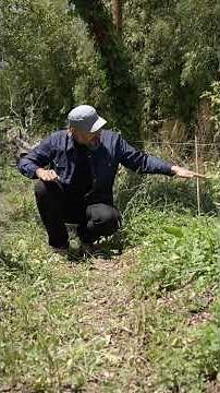 What is a swale in permaculture?